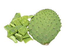 Nopal cladode Extract